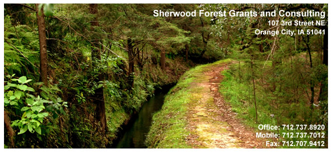 Sherwood Forest